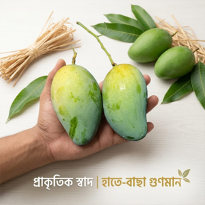 আম্রপালি আম ২২  কেজি ক্যারেট ২৫৩০/-